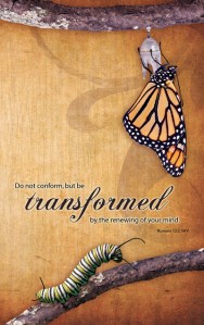 transform