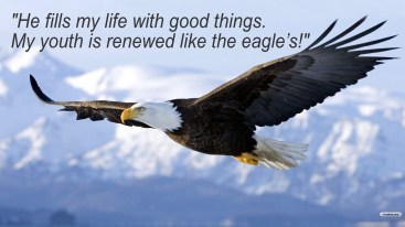 eagle