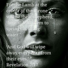 12366173_10153861589904052_994652691123537988_o