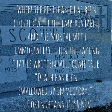 13669286_10154430525579052_1405810070692652868_o