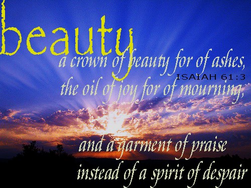 beauty