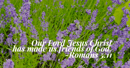 wordswag_1498216929437