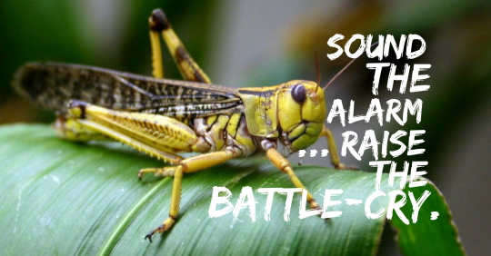 wordswag_1504698601248