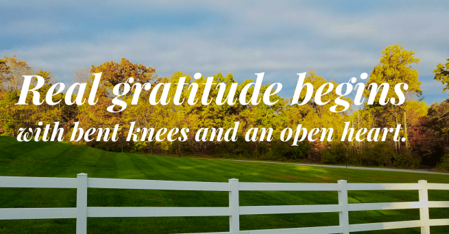 wordswag_1510576977997