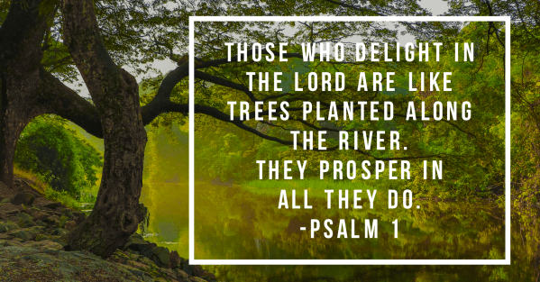 wordswag_1515158347557