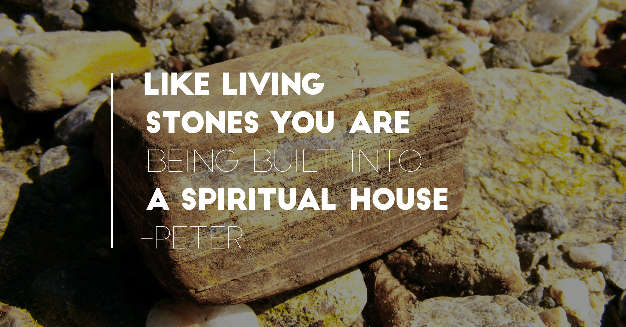 wordswag_1515417675648