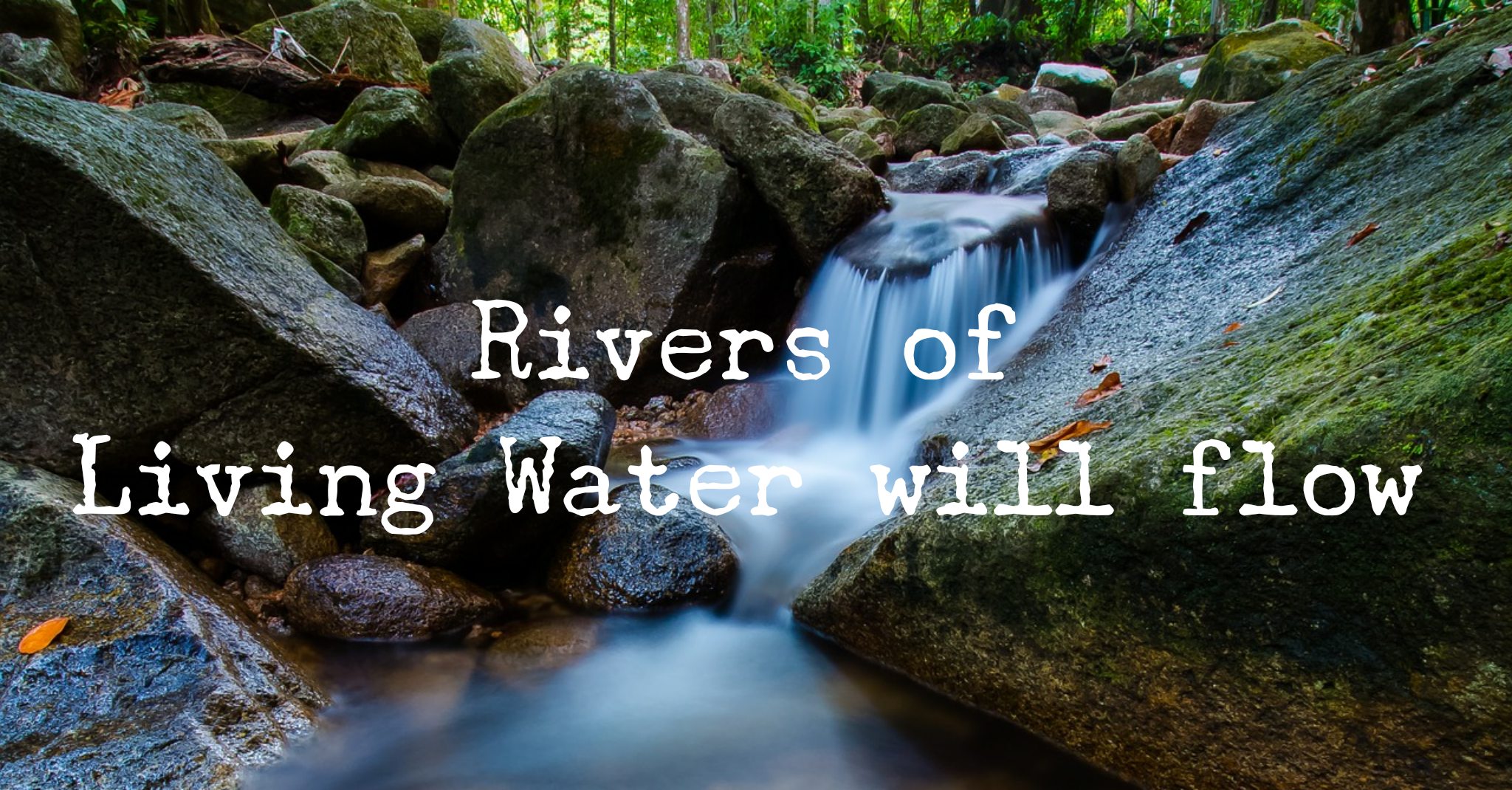 wordswag_1521719168023