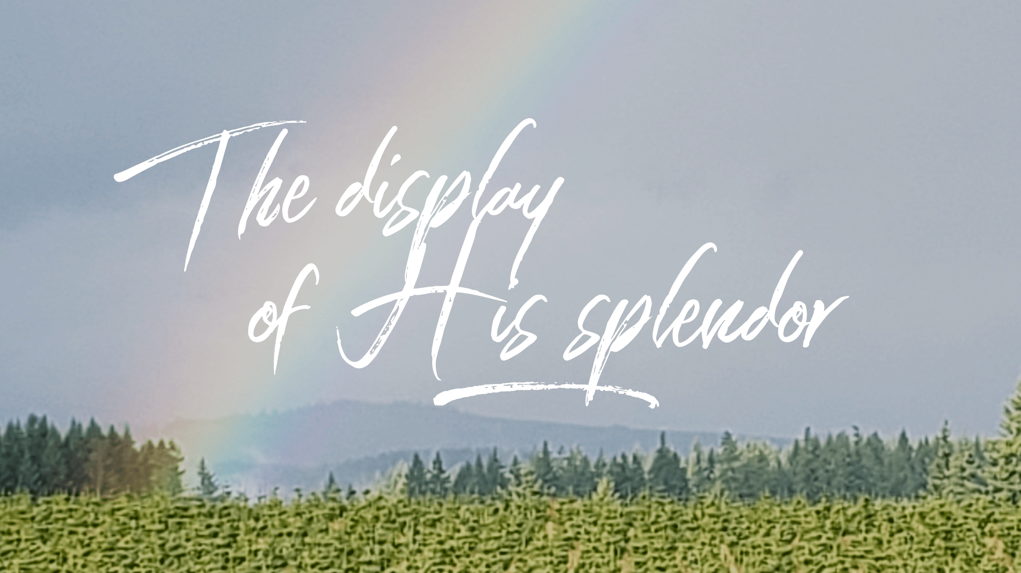 wordswag_1524135933360