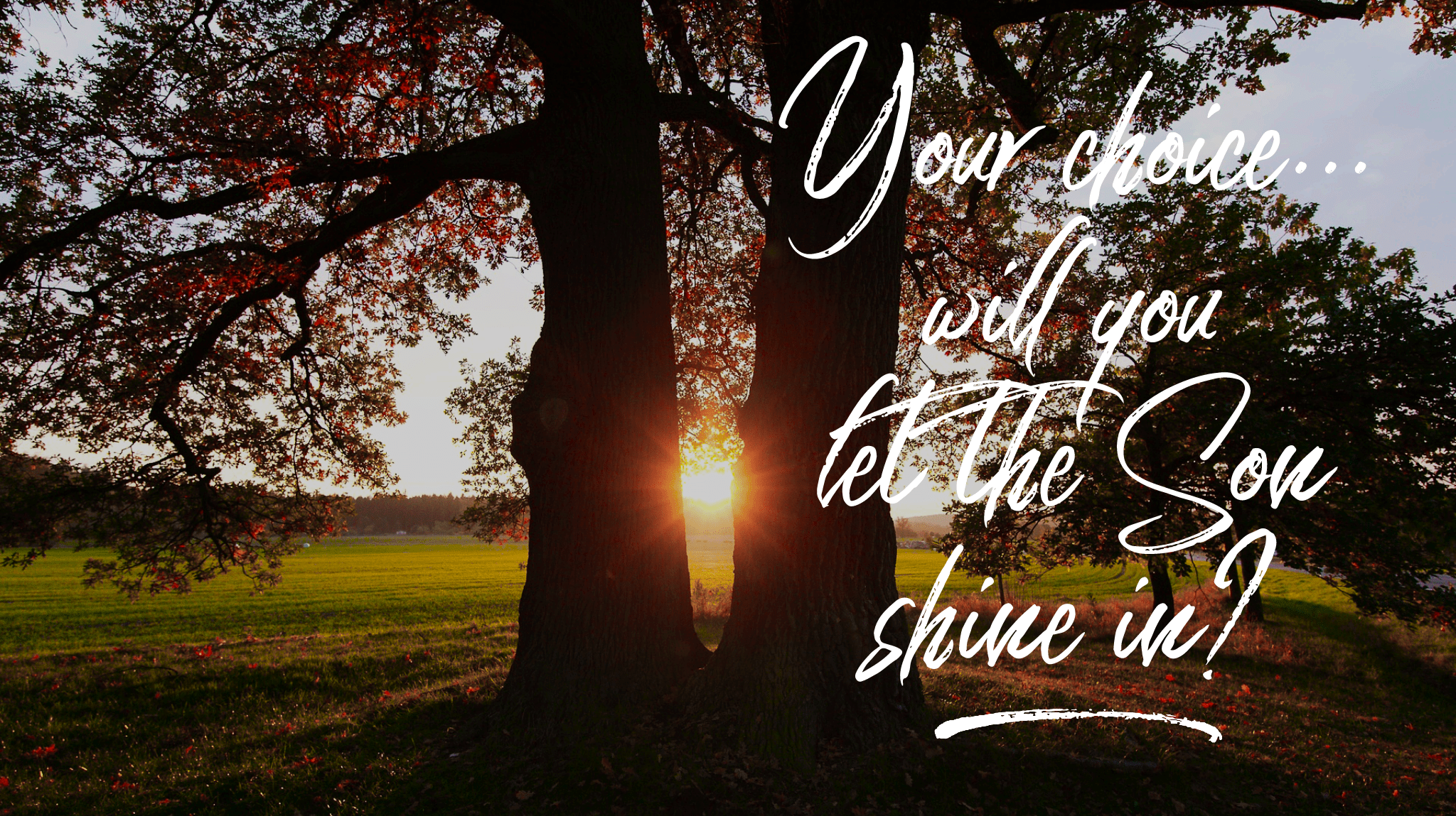 wordswag_1524484685031