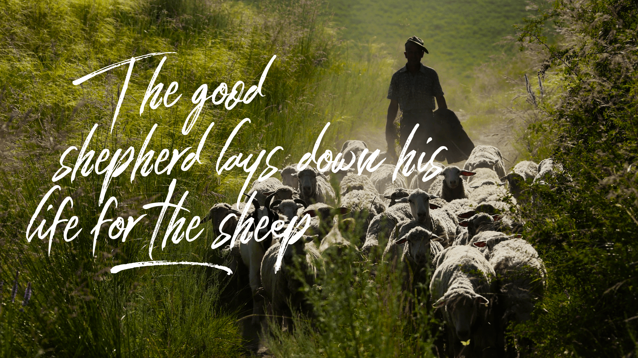 wordswag_1526037522439