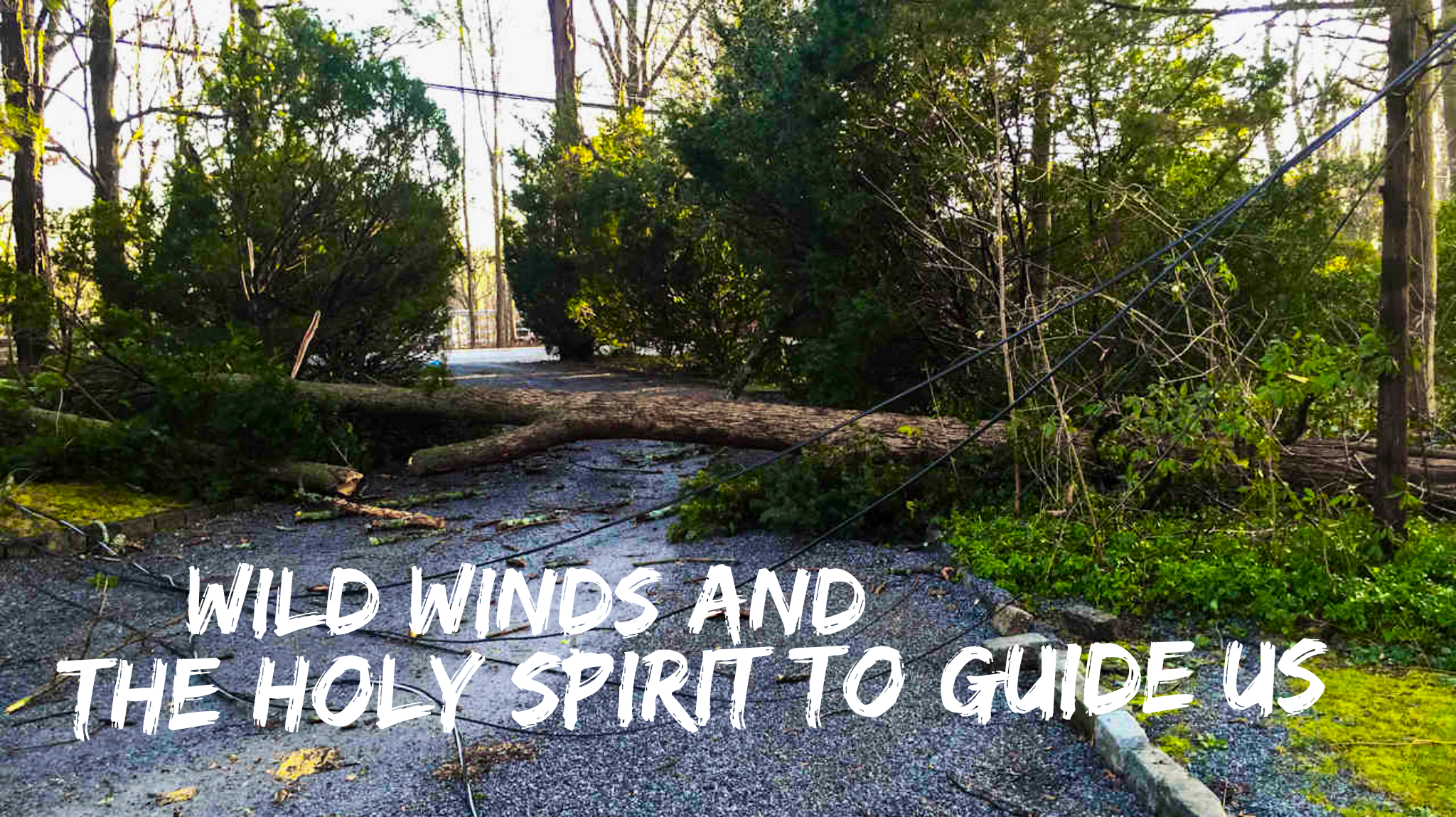 wordswag_1526472679075