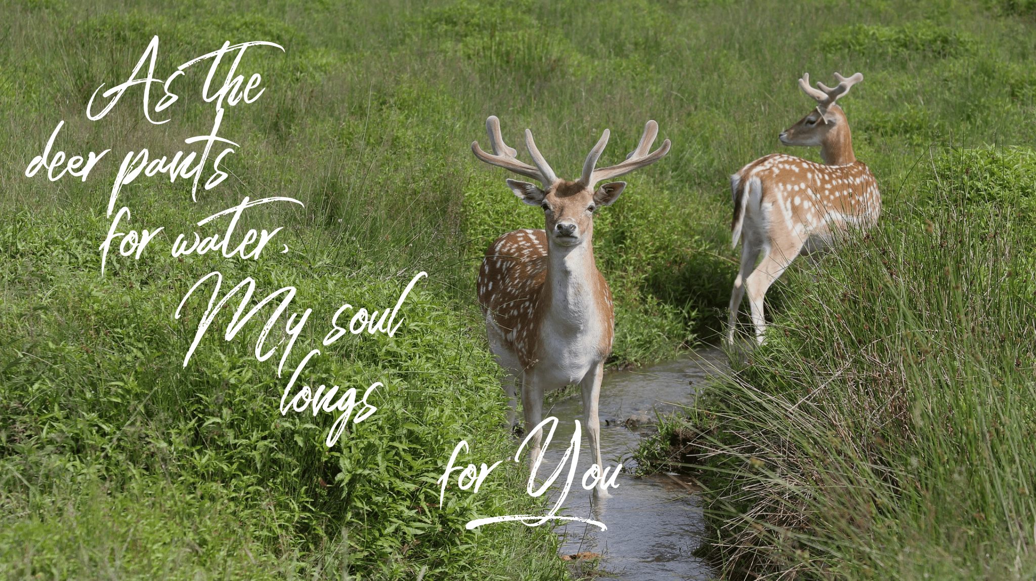 wordswag_1527765129073