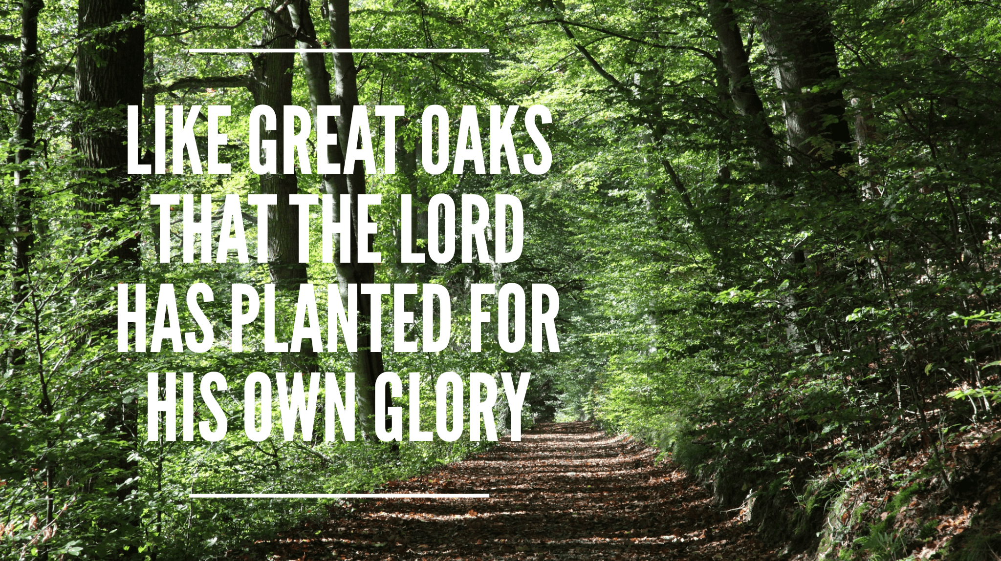 wordswag_1530791950557