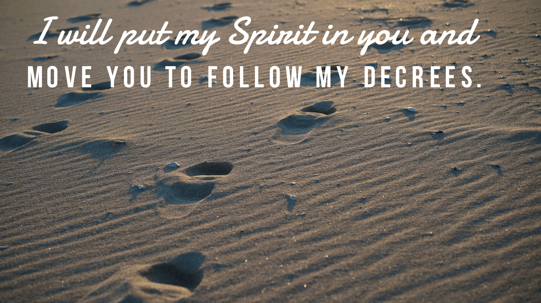 wordswag_1534336999609