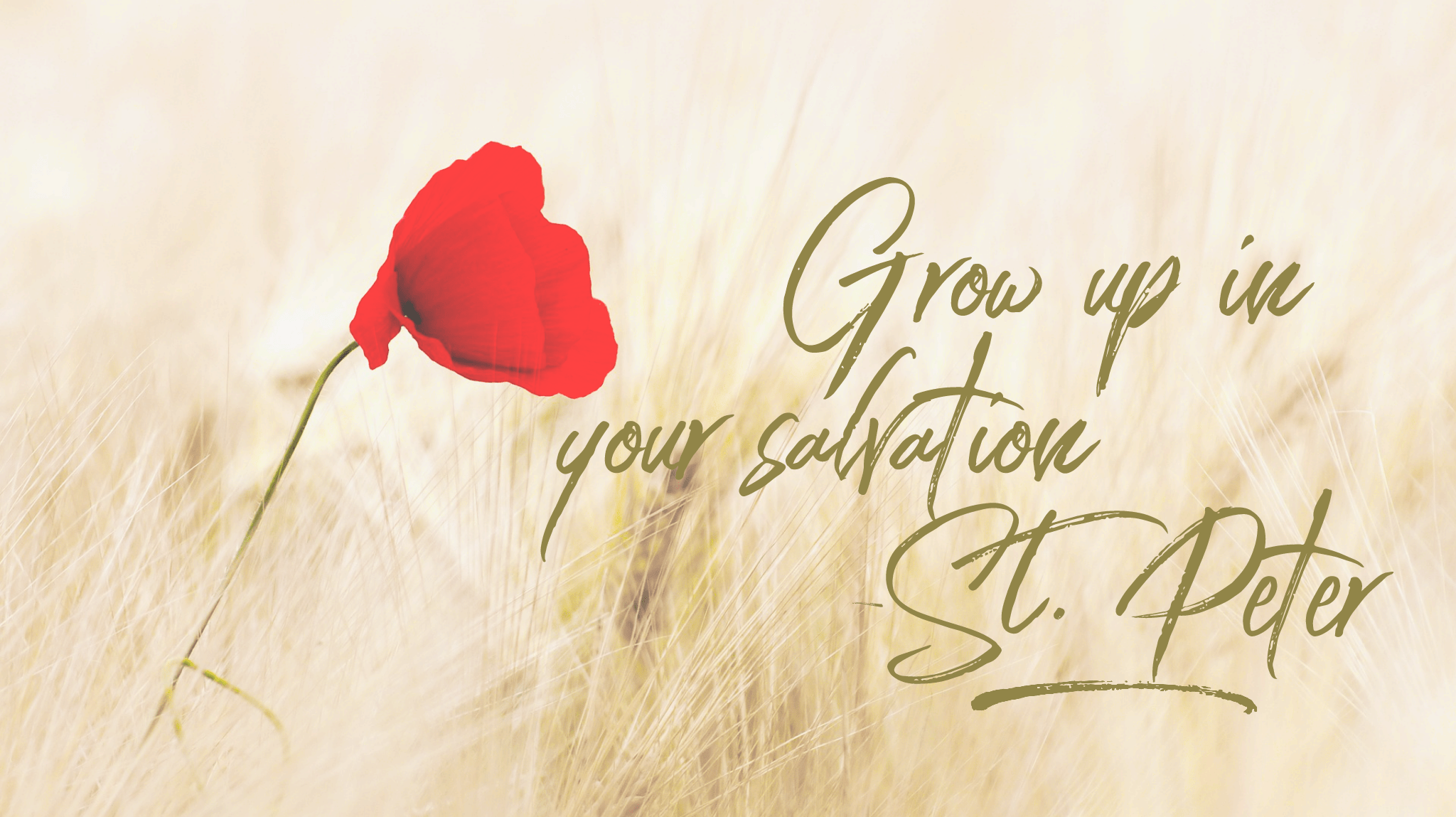 wordswag_1534506012352