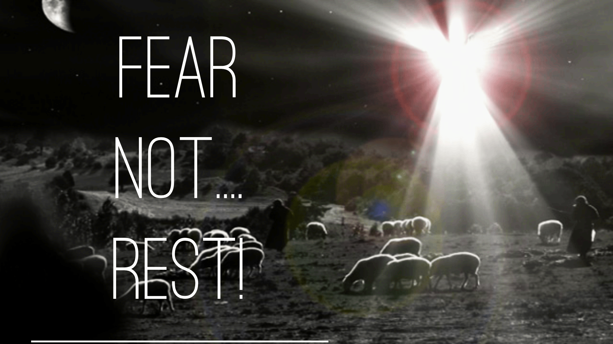 wordswag_1543841019431