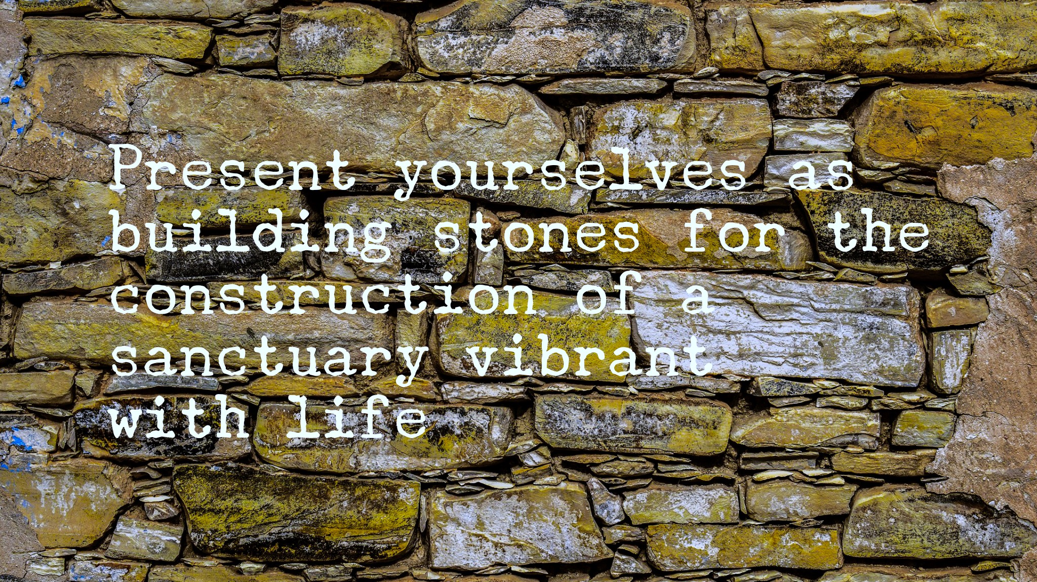 livingstones