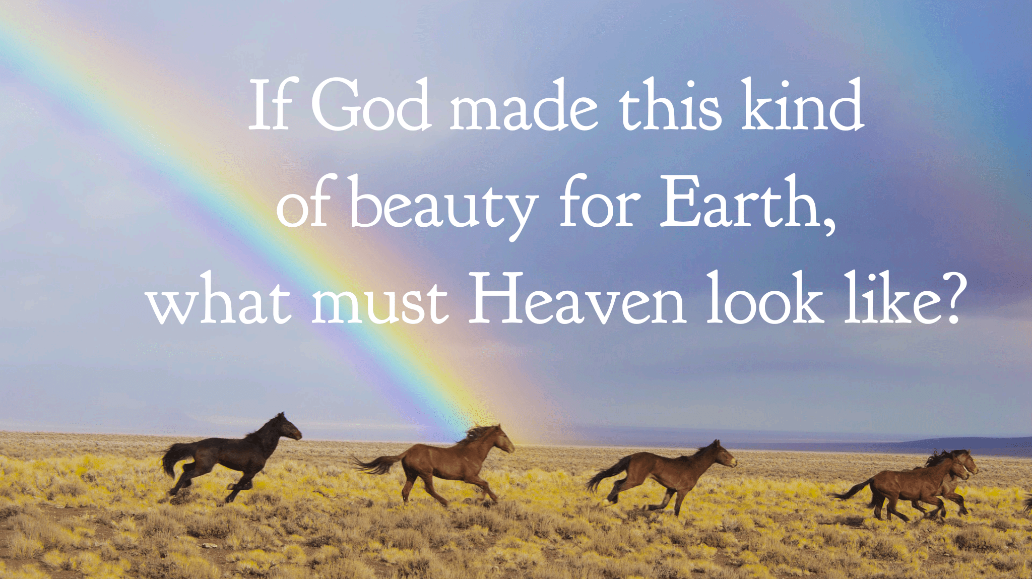 wordswag_1547643022483