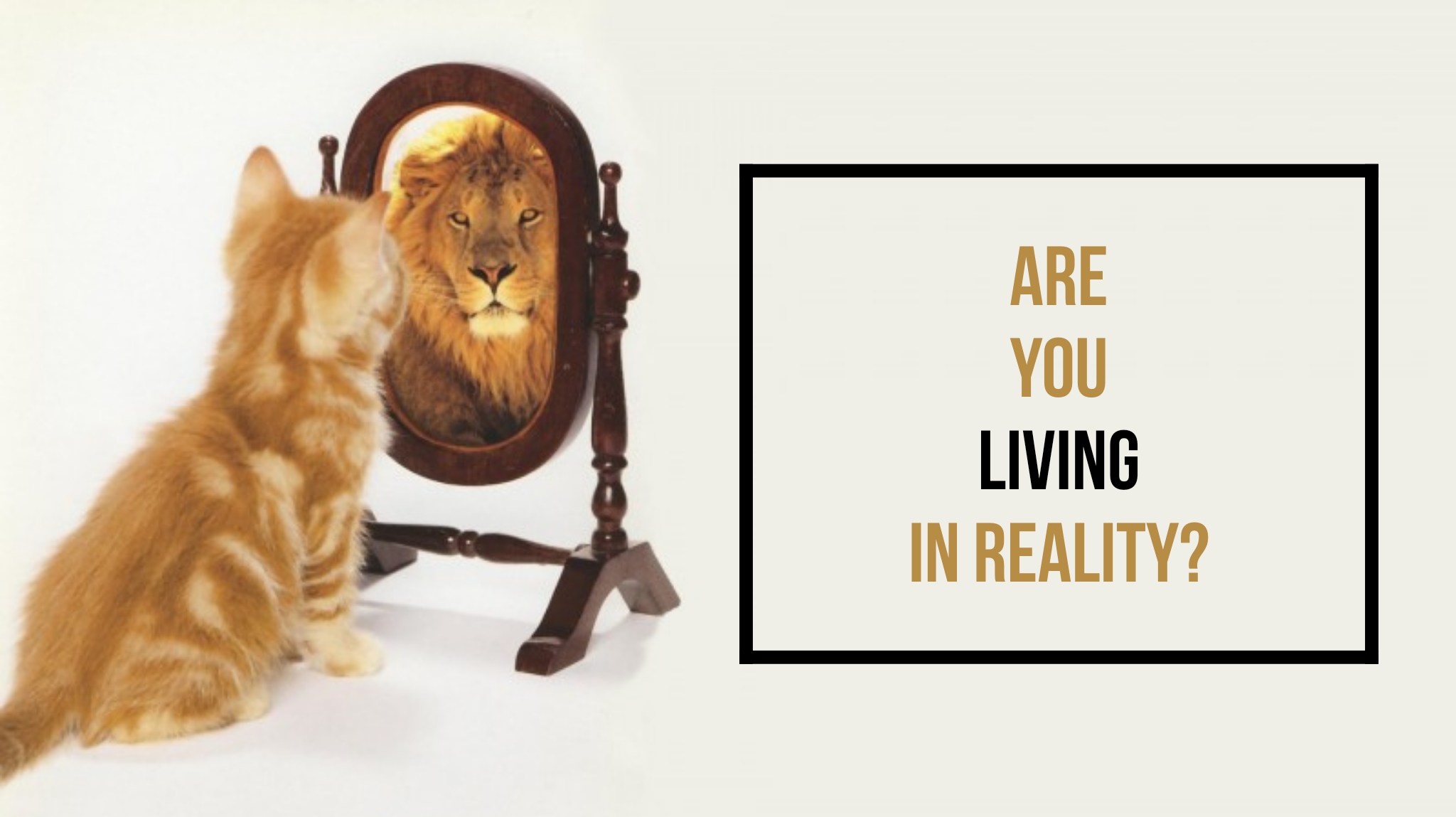 wordswag_1551444096302