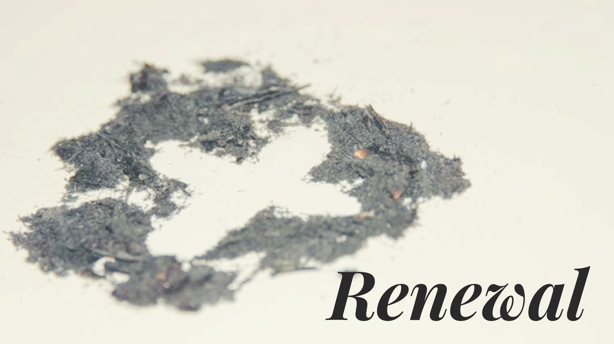 wordswag_1551877168379