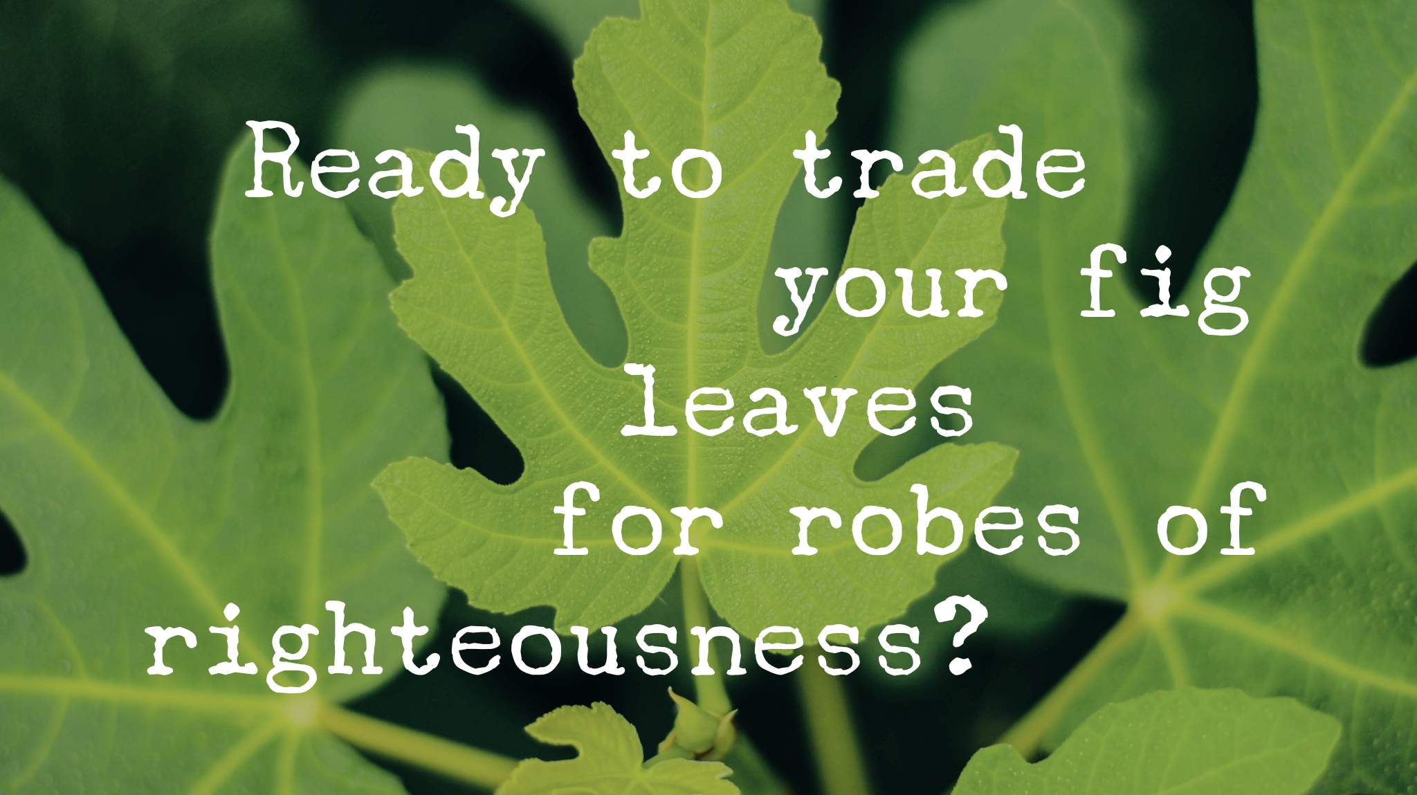 wordswag_1553253135894