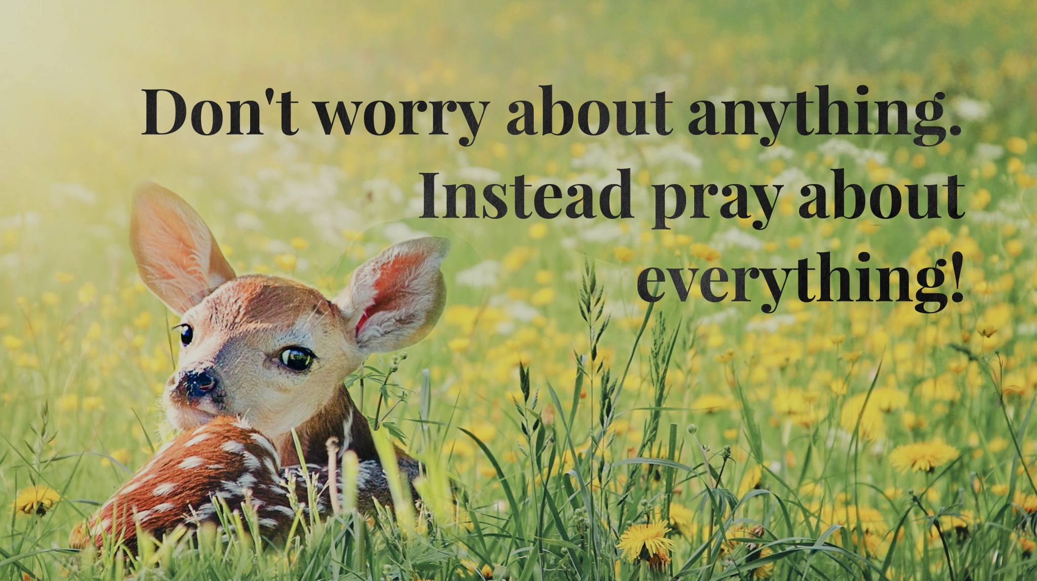 wordswag_1561379409536