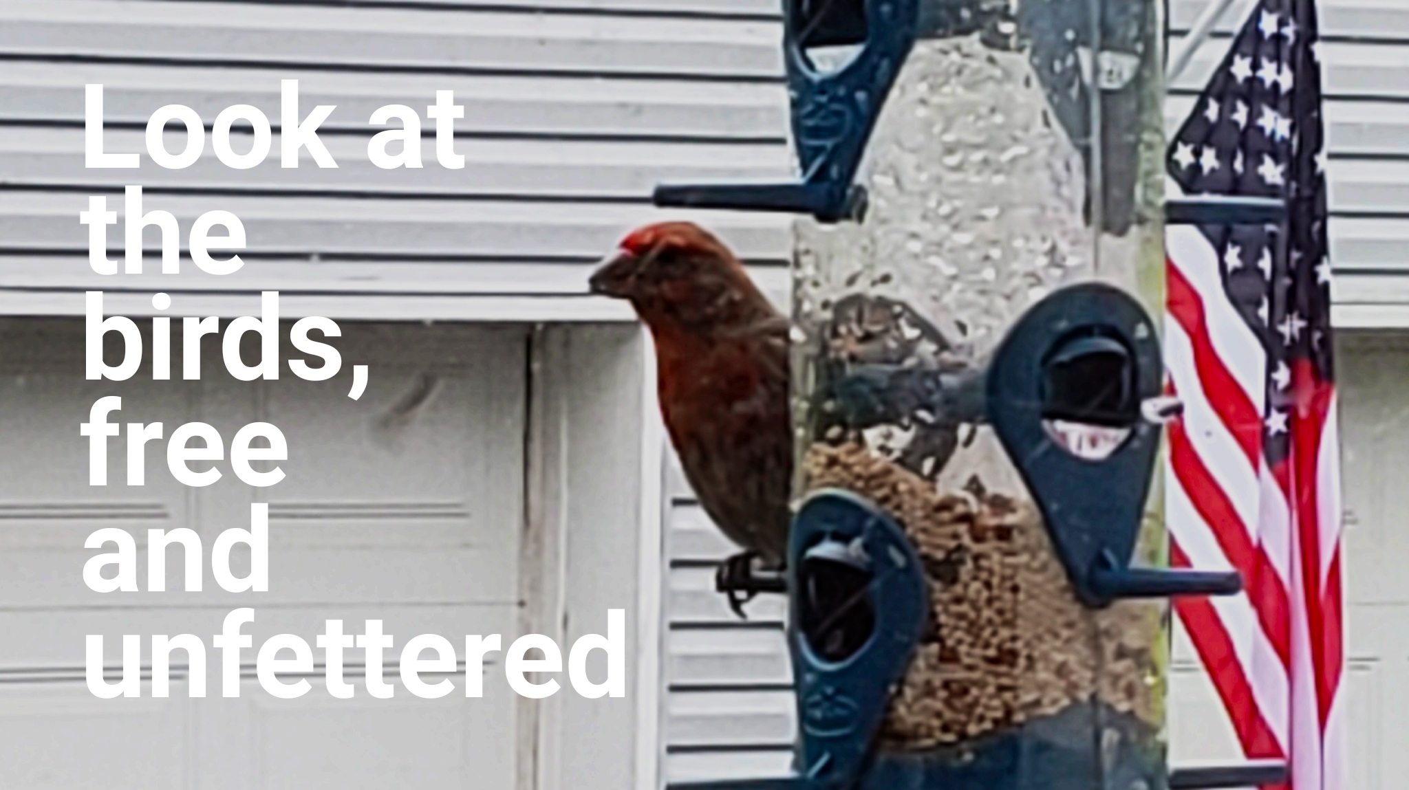 wordswag_1563881505212