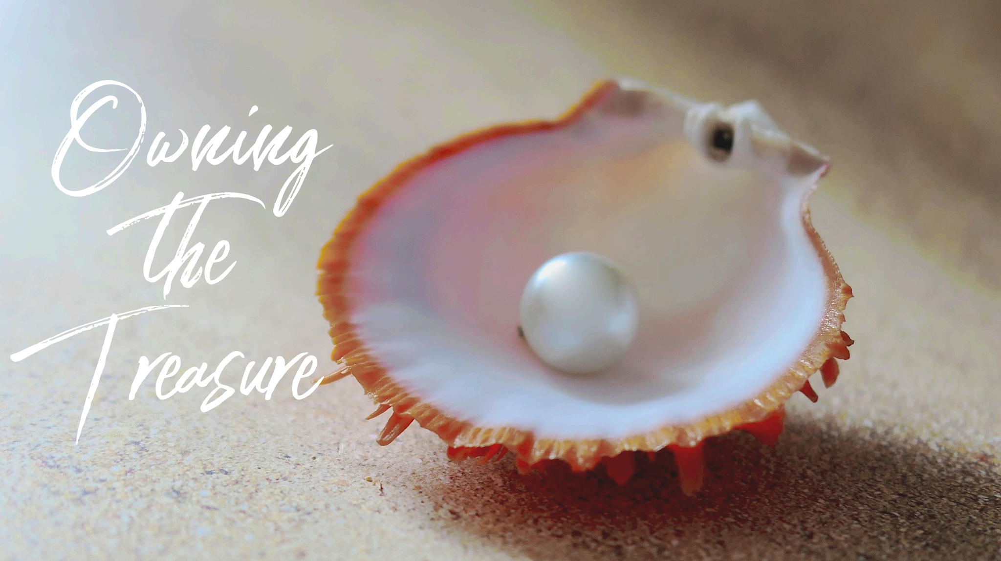 wordswag_1574775244889