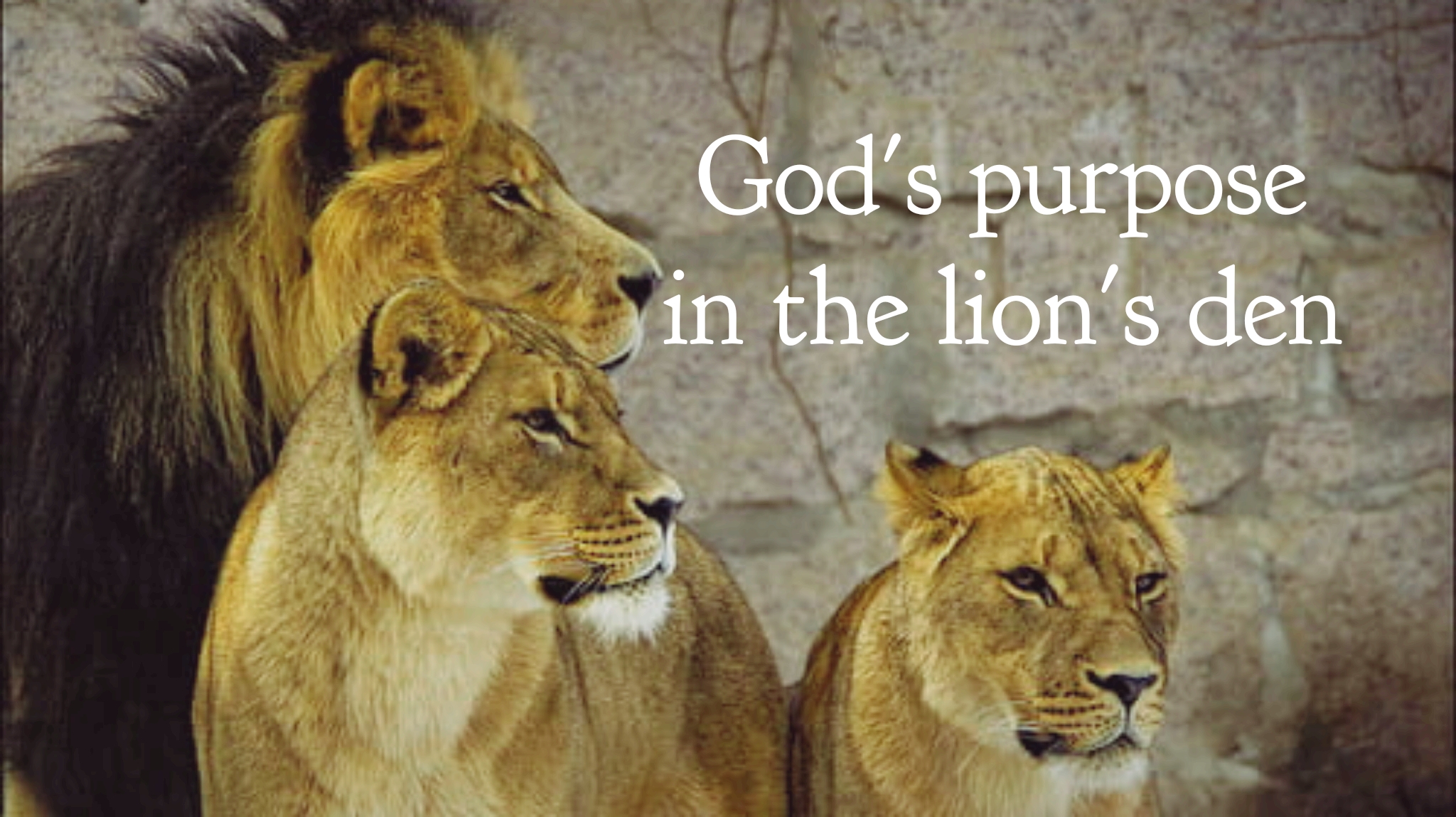 wordswag_1579181262479