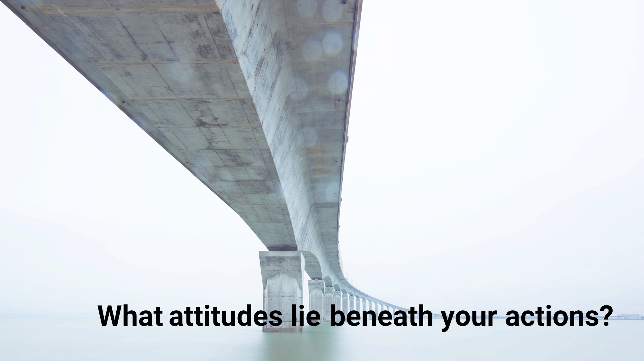 wordswag_1579534246636