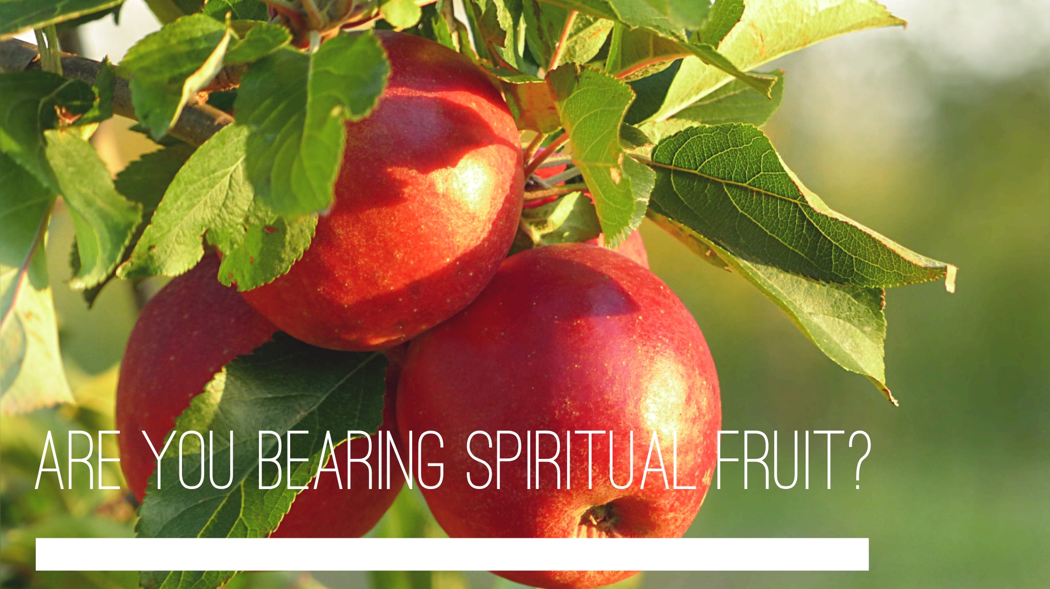 wordswag_1580820576044